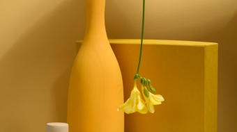 pexels-daria-liudnaya-7354715-min